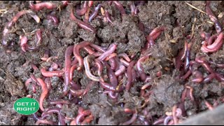 Rearing earthworms for profit  Vermiculture Part 1 [upl. by Ahsimet742]