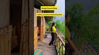 Deoja Forest Stay  Offbeat Darjeeling shorts minivlog darjeeling travelvlog [upl. by Ailekahs]