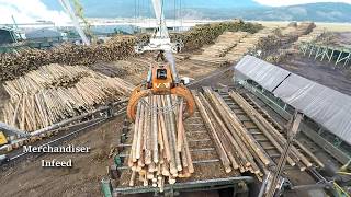 Logs to Lumber  An aerial journey through the sawmill [upl. by Chancey]