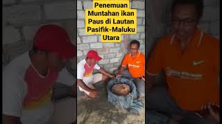 Penemuan Ambergris Muntahan Paus 2023 [upl. by Maddeu]