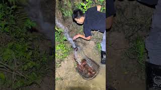 Catching crawfish after a rainstorm  Catching fish and shrimp [upl. by Mcnelly]