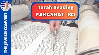 PARASHAT BO  Weekly Torah Reading in Hebrew amp English Translation  TORAH STUDY [upl. by Daney]