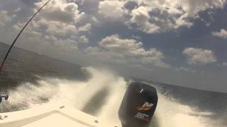 80 Mph 22 Ft Pro Line with a 300 Mercury Racing Optimax [upl. by Ruy]