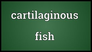 Cartilaginous fish Meaning [upl. by Enneirda913]