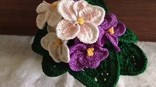 Crochet African Voilet flower  crochet saintpaulia flower [upl. by Del]