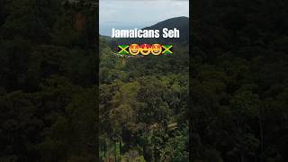 Jamaicans Worldwide What Is The Best Thing About Jamaica 🇯🇲🌞 jamaicanculture reggae jamaica [upl. by Audry]