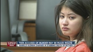 Teen claims insanity for stabbing mom 151 times [upl. by Idnat]