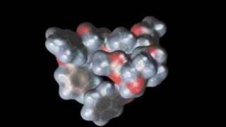 Paclitaxel Taxol molecule [upl. by Arodoet]