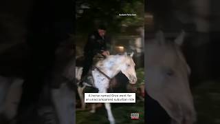 Riderless Horse Gallops Through California Neighborhood shorts [upl. by Eckardt]