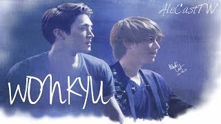 Wonkyu  THIS IS LOVE [upl. by Ttoille]