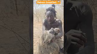 Baboon catch then he eat animals africa wildlife lion monkey [upl. by Asiuqram]