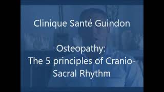 Five principles of the craniosacral rhythm [upl. by Zink]