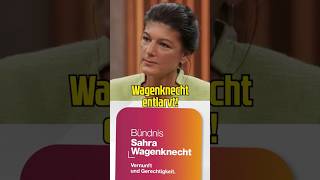 BSW UND wagenknecht ENTLARVT [upl. by Raffo]