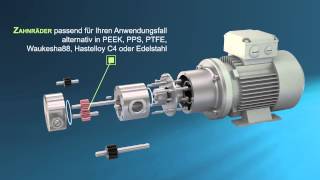 Scherzinger Zahnradpumpen Vielfältig und ausdauernd [upl. by Ynaffi947]