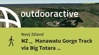 NZ  Manawatu Gorge Track via Big Totara Tree [upl. by Dianuj772]