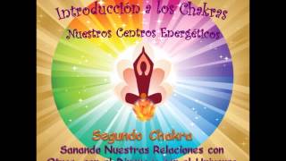 Chakra 25 Sanando Nuestras Relaciones con Nosotros Mismos y con Todo [upl. by Aiuqat531]