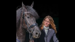 2022 Keuring at Lorick Stable [upl. by Ev]