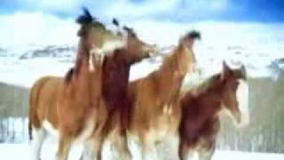 Beer Commercial Budweiser Clydesdale Snow Fight [upl. by Greenlee6]