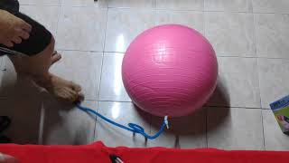 Review รีวิวการสูบลมบอลโยคะ Yoga Ball 65cm [upl. by Keverne797]