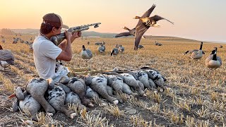 Our Best Early Season Specklebelly Goose Hunt Yet LIMITED OUT [upl. by Ohl]