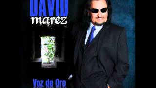 David Marez  Imposibilidad  Voz de Oro [upl. by Neal877]