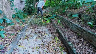 Clearing Your Garden Path of Fallen Leaves – The Secret to Preserving Natural Beauty [upl. by Valenka]