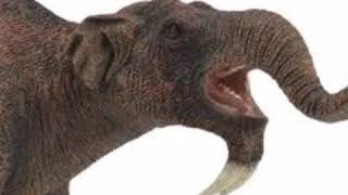 Deinotherium Trumpet 🐘 🔊 [upl. by Steep]