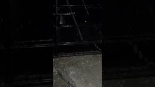 Hailstones in Siliguri [upl. by Gant441]