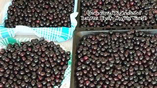 Çok Az Tuzla Siyah Zeytin Yapımı [upl. by Wakeen]