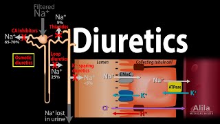 Diuretics  Mechanism of Action of Different Classes of Diuretics Animation [upl. by Luing]