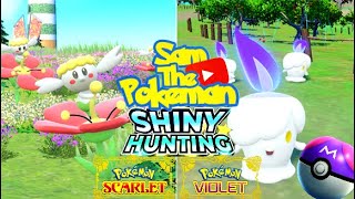 Flabebe and Litwick Shiny Hunt w SamThePokeman [upl. by Pollack]