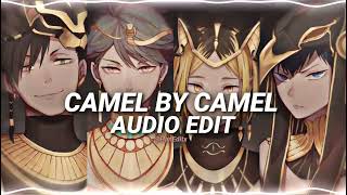 Camel By Camel  Sandy Marton Edit Audio Ladies amp Gentlemen quotThemquot [upl. by Bobbee]