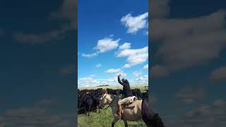 Questi sono i gauchos di Pontassieve in Uruguay ha fare una transumanza a cavallo [upl. by Illom]