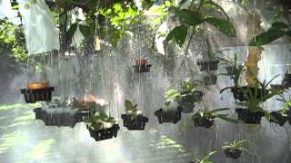 Hydromate Orchid Misting System [upl. by Hakym]