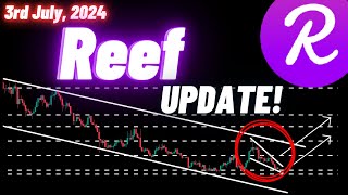 Reef Crypto Coin Update  3rd July 2024 [upl. by Mailliwnhoj]