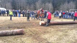 zawody furmanow istebna 2014 stasiek [upl. by Ylro]