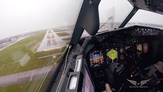 Stormy crosswind landing in LGW  Boeing 737 Captains view [upl. by Aneek594]