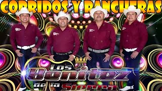 LOS BENITEZ DELA SIERRA SUS MEJORES EXITOS  Puros Corridos y Rancheras Viejitas [upl. by Aubrette819]