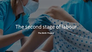 The second stage of labor  pushing or birthing your baby [upl. by Willa182]