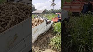 Mobil Sampe Di Tarik Totari sandicobra petani fypシ [upl. by Atinuhs]