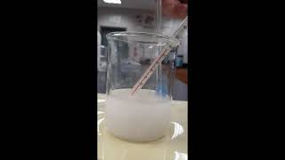 Sodium hydroxide dissolving in water [upl. by Mcclenon]