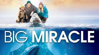 Big Miracle Full Movie Fact in Hindi  Review and Story Explained  Drew Barrymore [upl. by Bernadette626]