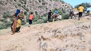 Exciting and difficult journey of Iranian nomads on the mountain road to Yalaq [upl. by Carolyne154]