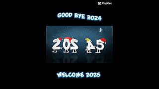 Goodbye 2024 welcome 2025 [upl. by Nilpik]