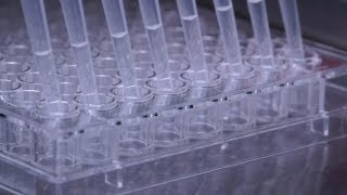 How to Perform SemiSolid Cloning of CHO Cell Lines in 96Well Plates Using ClonaCell™CHO Medium [upl. by Martguerita774]