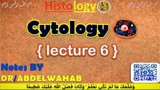 Cytology  6  Histology  القصر العيني 198 [upl. by Nangatrad48]