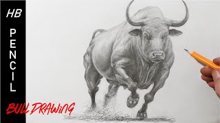 How to Draw a Bull  Pencil Drawing [upl. by Pisarik]