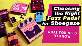 Fuzz amp Distortion Shootout  The Best Pedals for Shoegaze amp Noise Pop [upl. by Patty727]