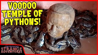 INSIDE THE BALL PYTHON VOODOO TEMPLE IN AFRICA Ouidah Benin West Africa [upl. by Tnerb]