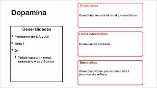 Agonistas Alfa y Beta Adrenérgicos [upl. by Peta]